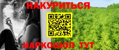 дмт Камышлов