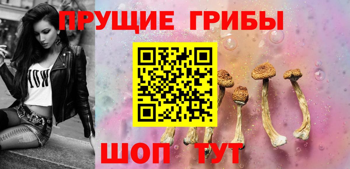 Галлюциногенные грибы Cubensis Лесосибирск