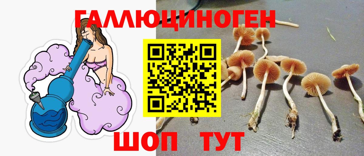 Лесосибирск  наркошоп  Вход с VPN  Галлюциногенные грибы Psilocybe 